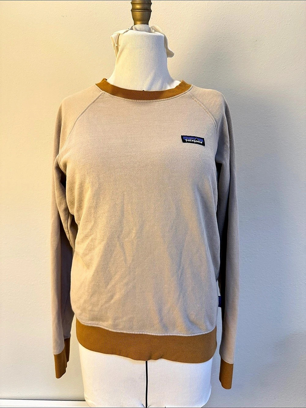 Patagonia Regenerative Organic Certified Cotton Crewneck Sweatshirt Cotton